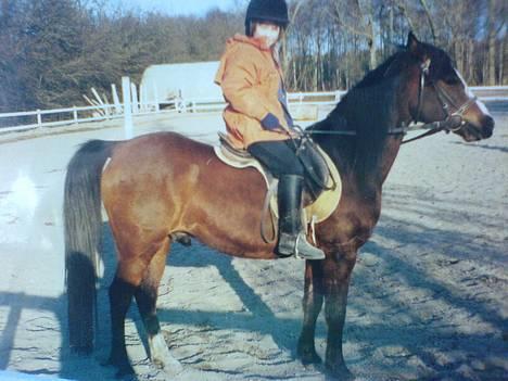 Anden særlig race attila (gamle part) - Da jeg startede på mig for 5 år siden :b , tynd der :b billede 9