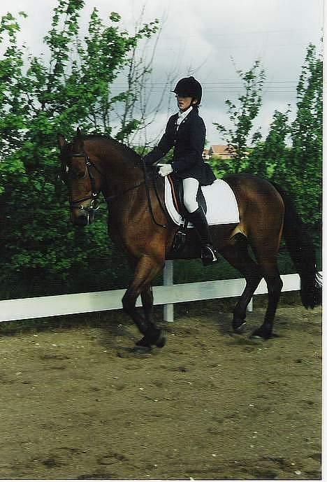 DSP Censor  † billede 1