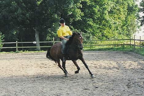 DSP Censor  † billede 3