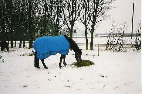 DSP Censor  † billede 8