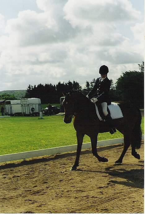 DSP Censor  † billede 13