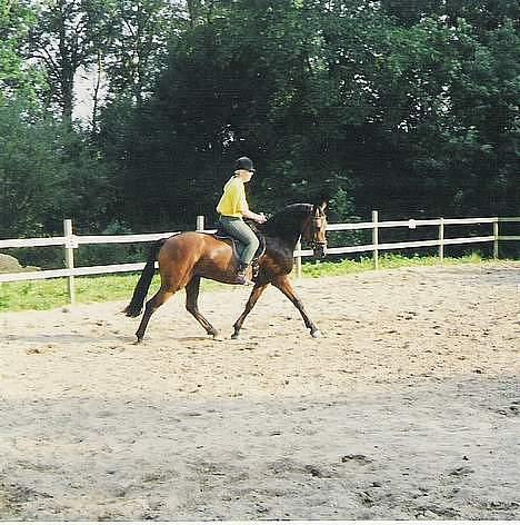 DSP Censor  † billede 14