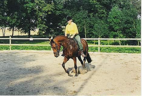 DSP Censor  † billede 15