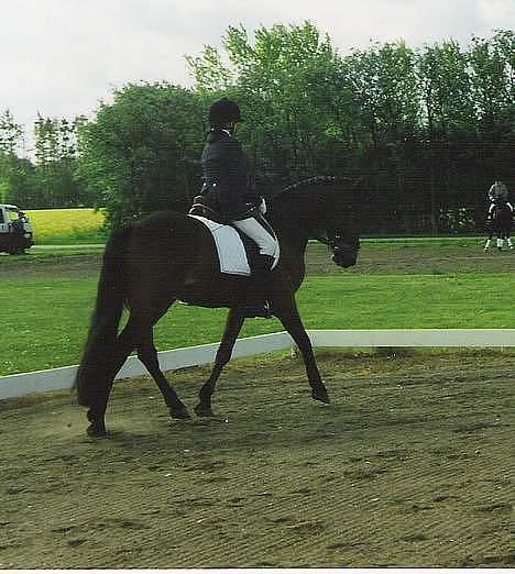 DSP Censor  † billede 19