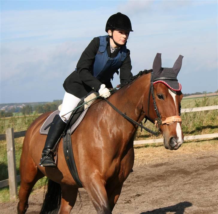 Oldenborg Fie <33 † - Søndag d. 7 okt 2007. Tak til Bine-musen . ! Elsker den hest billede 2