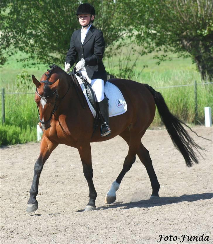 Oldenborg Fie <33 † - Til stævne , søndag d. 1/6 2008 billede 3