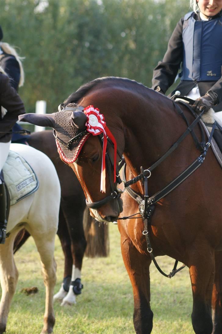 Oldenborg Fie <33 † - Team bager vandt Holdspring, selvom jeg var fejleren på holden :P haha Godt redet tøser <3 billede 4