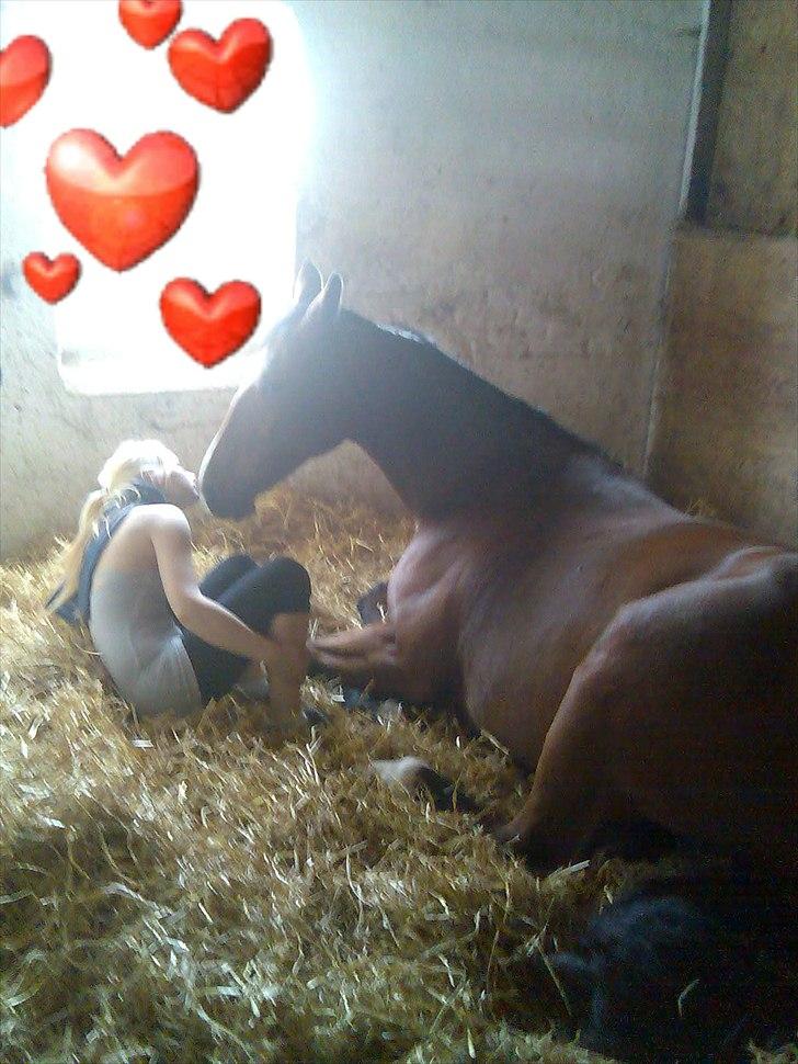 Oldenborg Fie <33 † - <333 billede 7