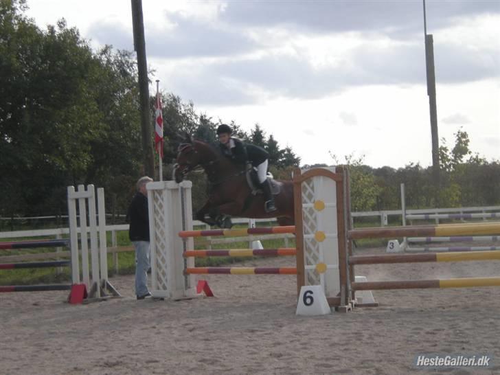 Oldenborg Fie <33 † - Fra vores første Ld, omspring. Puha jeg synes det højt <3 Vi havde 3 bomme i omspring, som var mine fejl. Elsker hende <3 billede 8