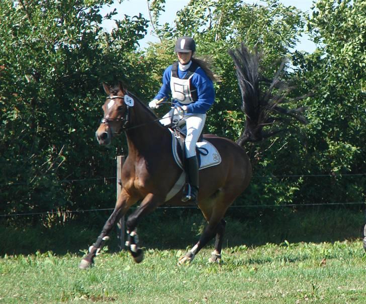 DSP Cassiopeia - militarystævne CNC 80 billede 12