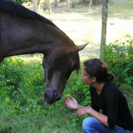 Dansk Varmblod Lund's Pamina - Besøg på sommerfold 06. billede 18