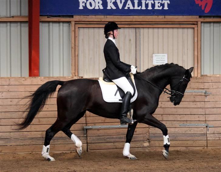 Dansk Varmblod Grauff's Elektra (U.N.)  - Distriksstævne i Fåborg rideklub.. Det gik rigtig fint.. 63,14% i LA2 og en 4. plads ud af 20 :) Elektra var super fin..  billede 16