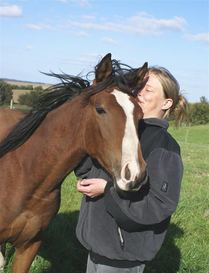 DSP Ahorns kimira - anita gnub nu til, eller jeg vælter dig billede 1