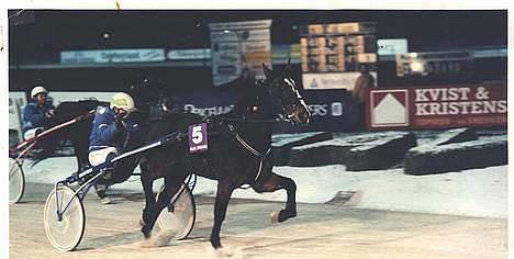 Traver Pampas Crown - Vinderhesten Pampas Crown suser over målstregen. billede 7