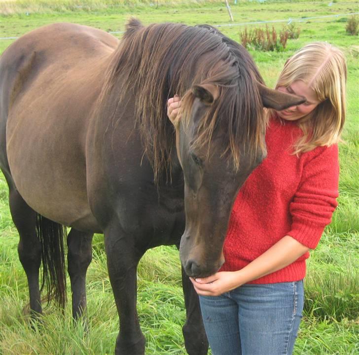 Fuldblod (XX) <3Princess Joe *I HIMLEN* - # 1. Hej med jer.. Taget d. 23/8-2009 billede 1