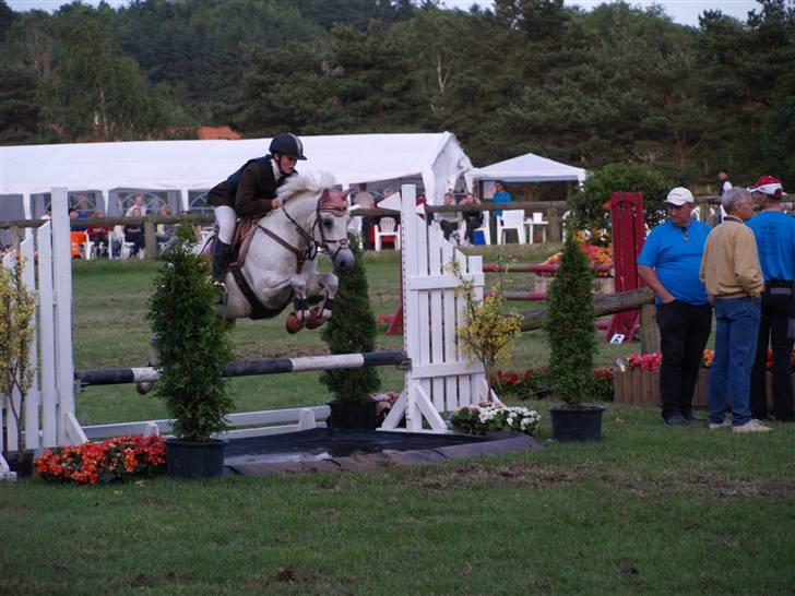 Connemara Skousboe sweet mandy SOLG billede 5