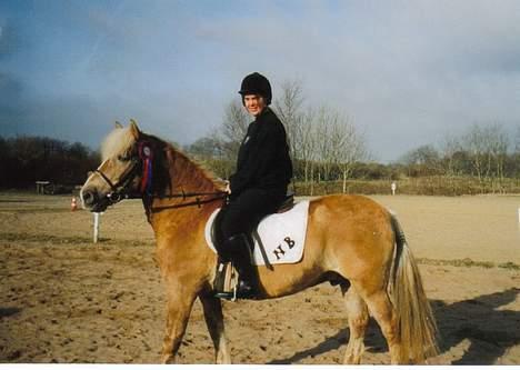 Tyroler Haflinger Notabene Lundgaard - Her er vi efter at vi har været inde og modtage rosette. Det var et stævne uden placering, alle fik rosetter... billede 15