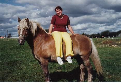 Tyroler Haflinger Notabene Lundgaard - Nota og mig på efterskolens mark. billede 16