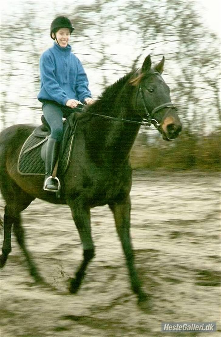 Fuldblod (XX) <3Princess Joe *I HIMLEN* - # 7. Føreste gang jeg prøvet hende. Viste bare med det samme at jeg sad i sadlen, at hun sku være min:) billede 7