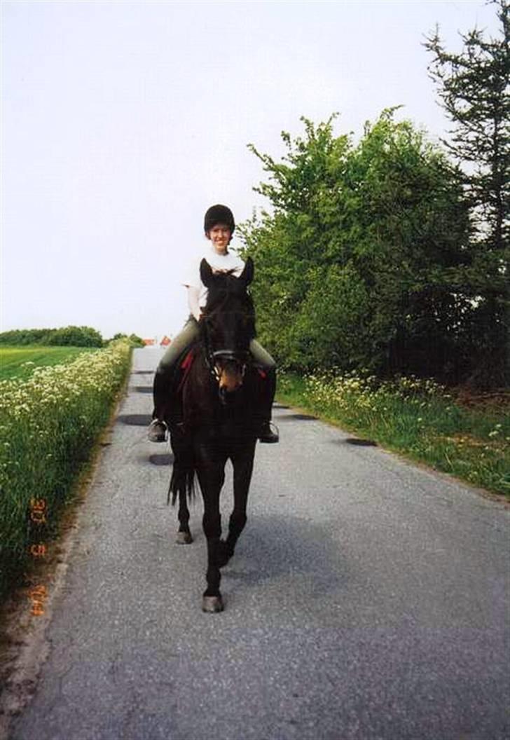 Fuldblod (XX) <3Princess Joe *I HIMLEN* - # 9. En bette skridt tur ska også til. billede 9