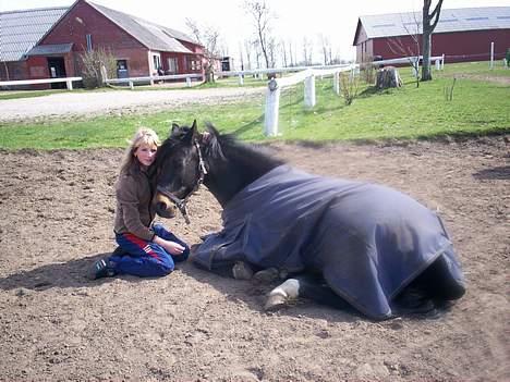DSP sønderlunds salina*solgt* - kærlighed <3 miss you so much! billede 12