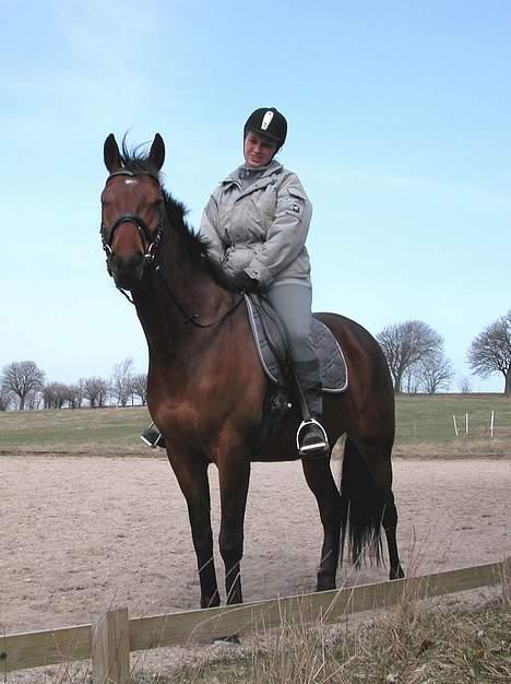 Fuldblod (XX) Another Vale - SOLGT - Hygge før vi kaster os ud i dagens arbejde = dressur - April 2006 billede 14
