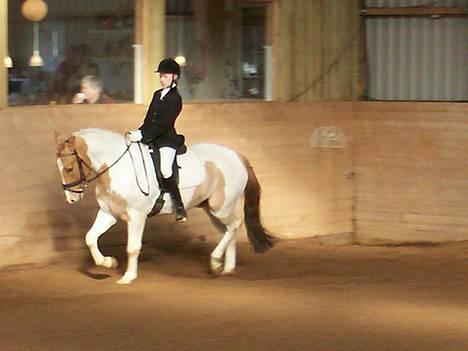 Pinto Stald Poppels Gentleman  - Vores første distriks stævne sammen - i Åstrup Sportsrideklub. billede 5