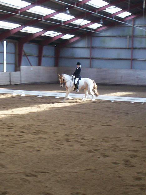 Pinto Stald Poppels Gentleman  - Vores første distriks stævne sammen - i Åstrup Sportsrideklub. billede 7
