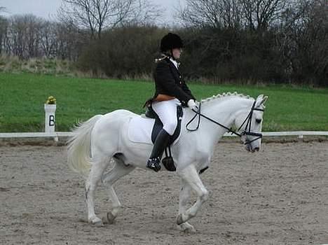 DSP Sokhøjgårds cabarè - cabare og jeg i vors lc2 den 30-04-2006 hvor vi vandt den billede 4