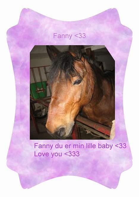New Forest Fanny || Gammel part :( billede 20