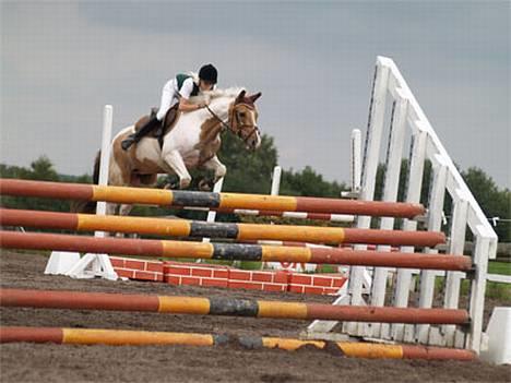 Pinto Stald Poppels Gentleman  - Stævne i Kongsvad. billede 11
