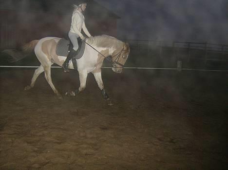 Pinto Stald Poppels Gentleman  - En af de sidste gange jeg red ham - øgning og dyb - meningen billede 12