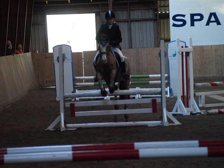 Anden særlig race Jack - Stævne LERK nøøj den var farlig den er jo hvid...!!!! Og se lige hvor smal den er Ö billede 17