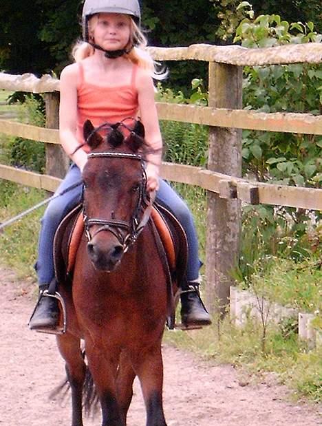 Dartmoor Edermann ronda/mickey billede 7