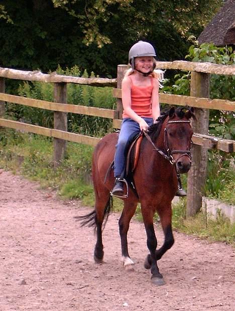 Dartmoor Edermann ronda/mickey billede 8