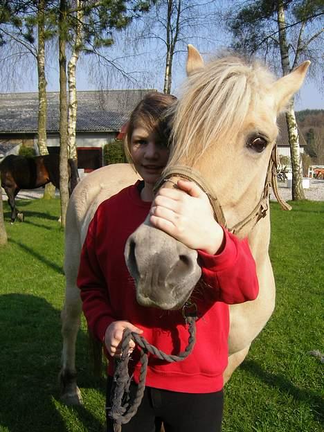 Fjordhest Frida <3 - Frida og Celina smuk som altid [ 1/5 -2006 ]  billede 2