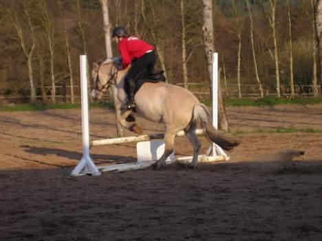 Fjordhest Frida <3 - Spring bagfra [ 1/5 -2006 ] billede 7