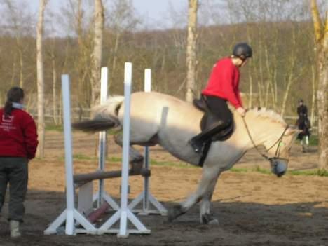 Fjordhest Frida <3 - Spring Wee [ 1/5 -2006 ] billede 9