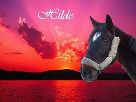 Traver Hilde Knab †060706† - Hilde - lavet af CC billede 7