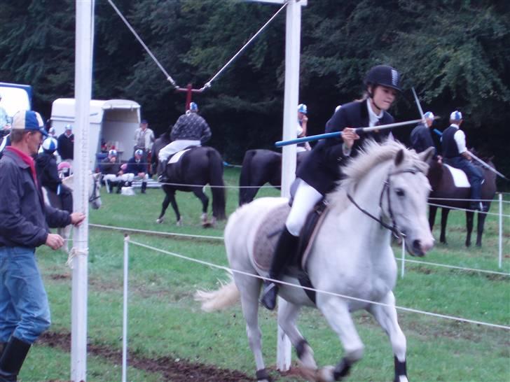 Irsk Sportspony Idom Aadahls Quickstep - Ringridning (: Selvom Aadahl ødelage sin kieffertrense & vi blev nummer sidst, så var det skide´sjovt :) billede 5