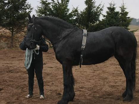 Frieser Catharina Fan´t Emsland - lettere afslappet billede 5