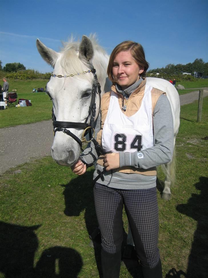 Connemara Skousboe Rockstar - Distancestævne den 27.09.08 billede 15