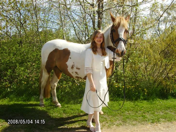 Anden særlig race Thiano - Konfirmations Billede med Thiano billede 10