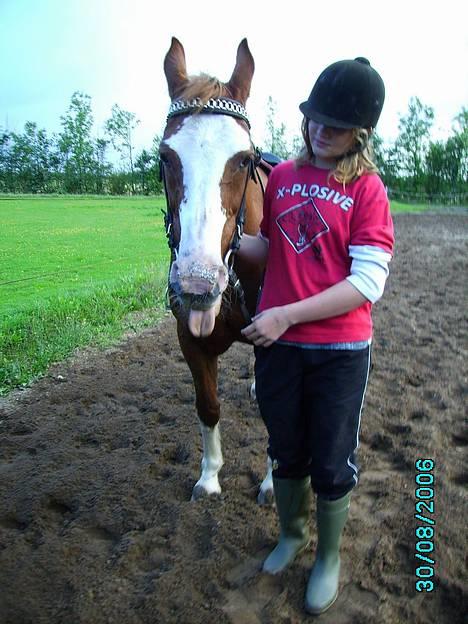 Oldenborg Molly (min Fars) - Molly sammen med Nanna... hun rækker tunge fordi hun ligesom mange mennesker ikke bryder sig om at få taget billeder... billede 9