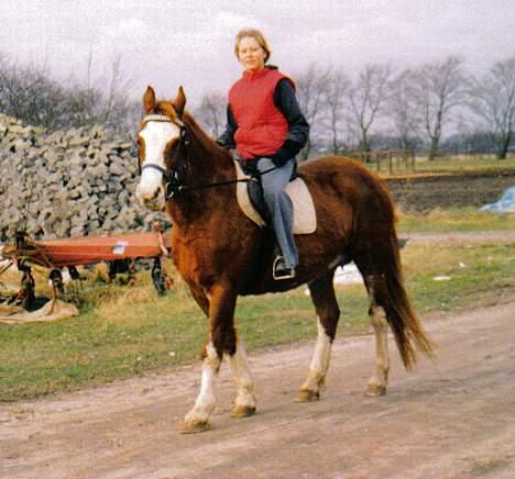 Oldenborg Molly (min Fars) - Mig på molly aner ikke hvor gammel jeg var dengang...  billede 11