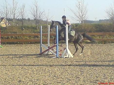Oldenborg Cia Celina - Se hvor hun elsker at springe! billede 12