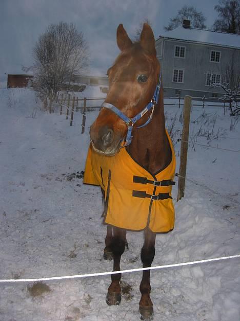 Traver Mighty spin m(død) - Mighty ude..taget af maria billede 19