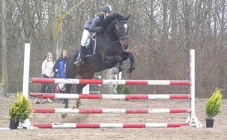 Holstener Grease Lightning billede 5