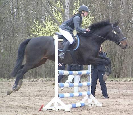 Holstener Grease Lightning billede 7