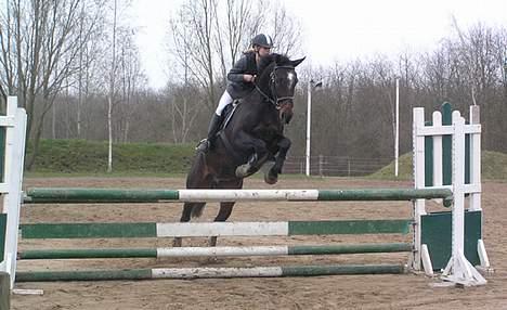 Holstener Grease Lightning billede 8